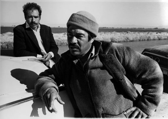 (3219) D'Arrigo Boycott, Imperial Valley, California, 1973 (3219) D'Arrigo Boycott, Imperial Valley, California, 1973